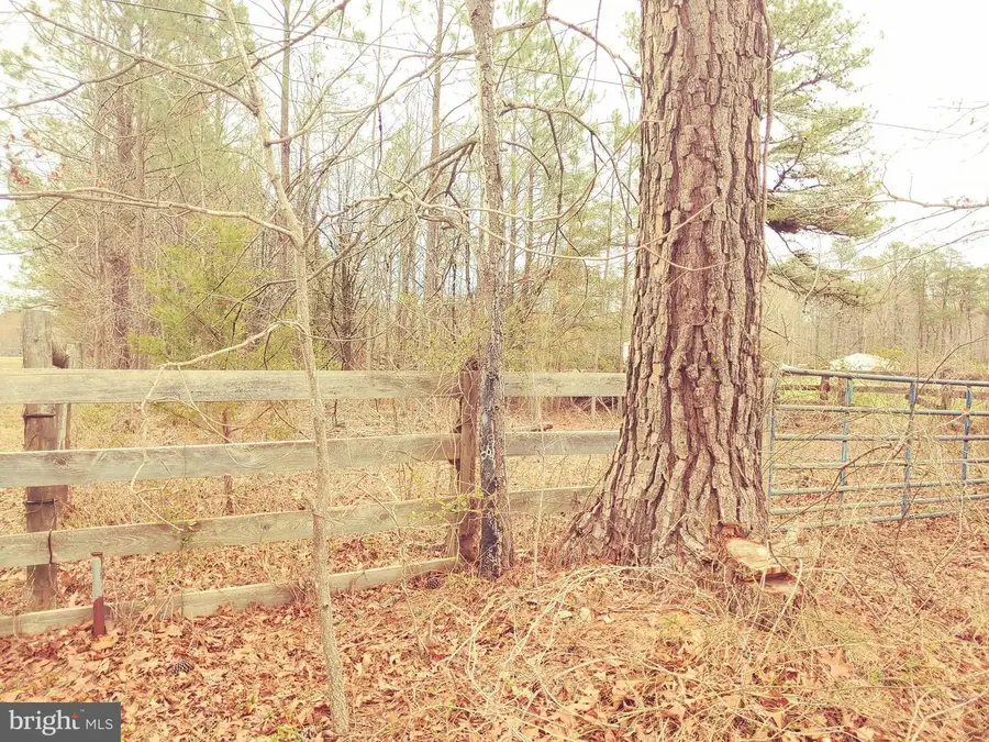 24350 Horse Shoe Rd, Clements, MD 20624 - #3