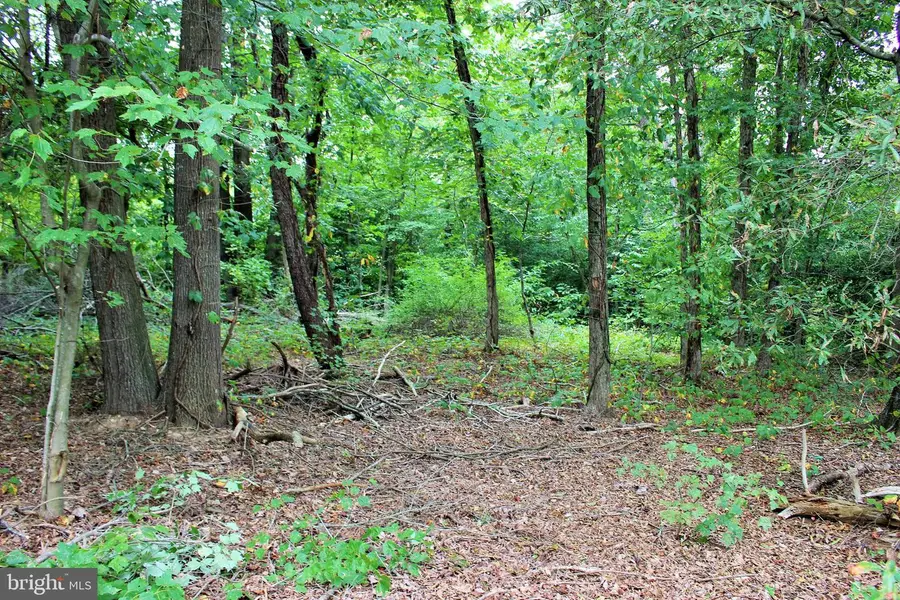 28723 Three Notch, Mechanicsville, MD 20659 - #2