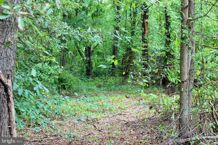 28723 Three Notch, Mechanicsville, MD 20659 - #3