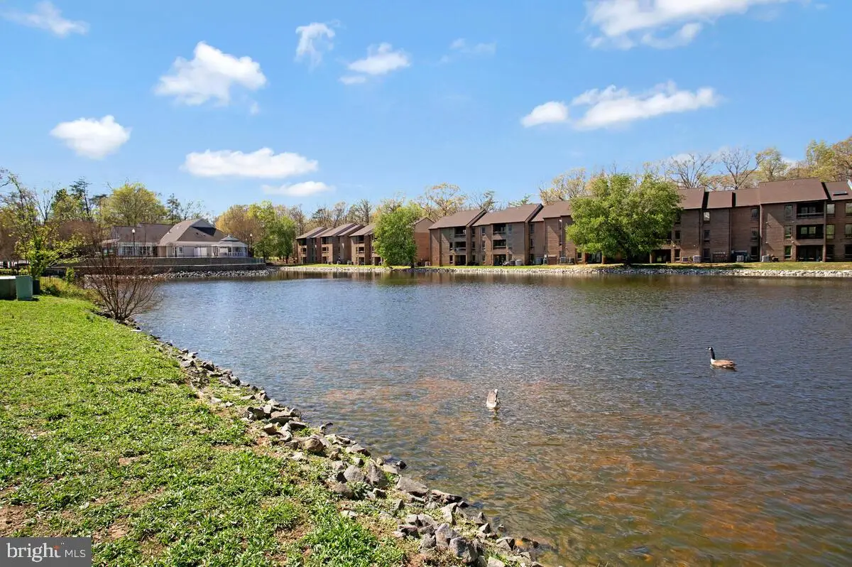 44788 Locust Ridge Ct #6a, California, MD 20619 - #1
