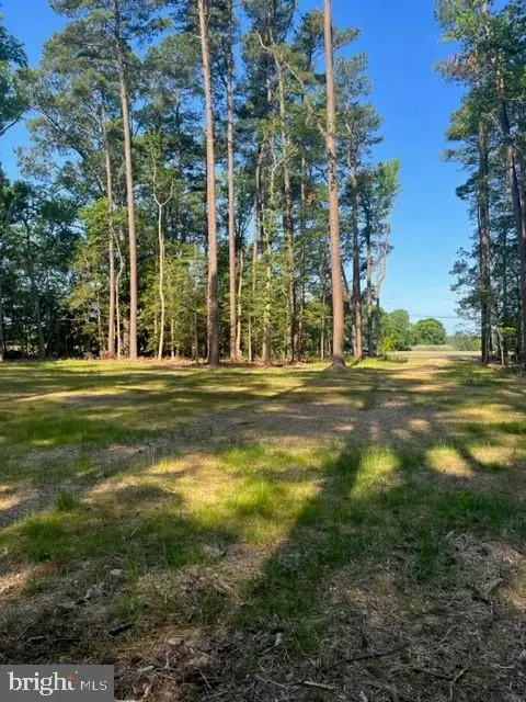 17328 Saint Jeromes Neck Rd, Dameron, MD 20628 - #3