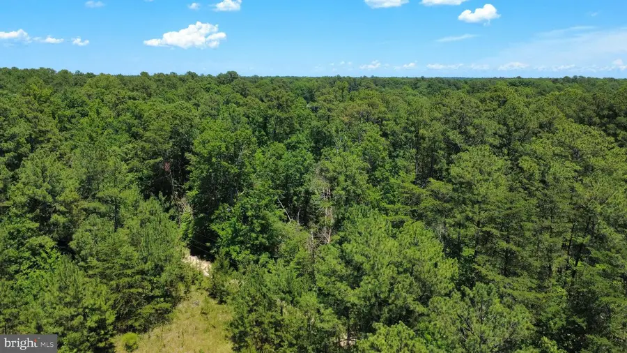 Whirlwind Rd, Leonardtown, MD 20650 - #3