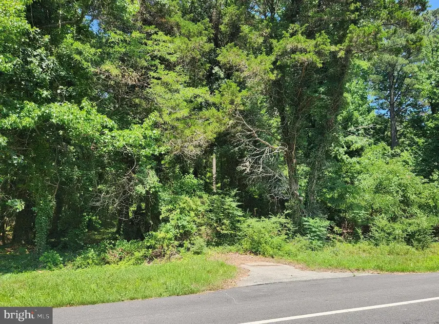Point Lookout Rd, Scotland, MD 20687 - #2