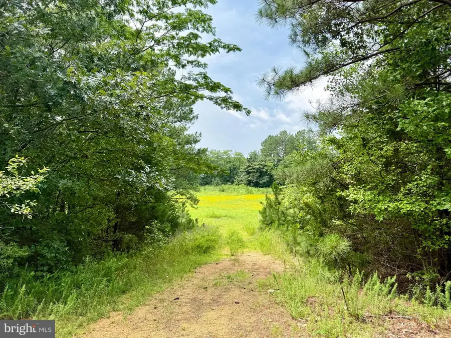 45291 Take It Easy Ranch Rd, Callaway, MD 20620 - #2