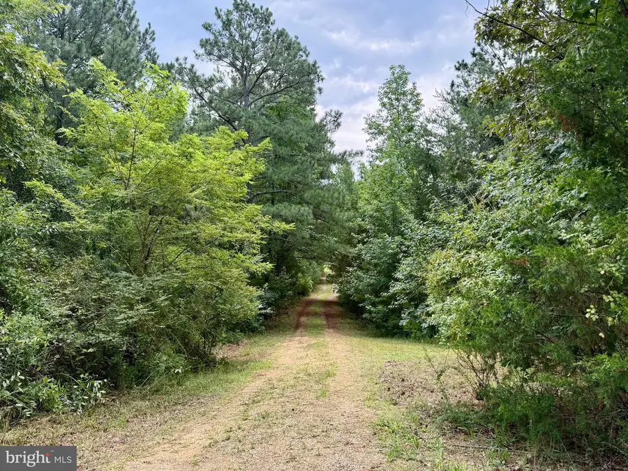 45291 Take It Easy Ranch Rd, Callaway, MD 20620 - #3