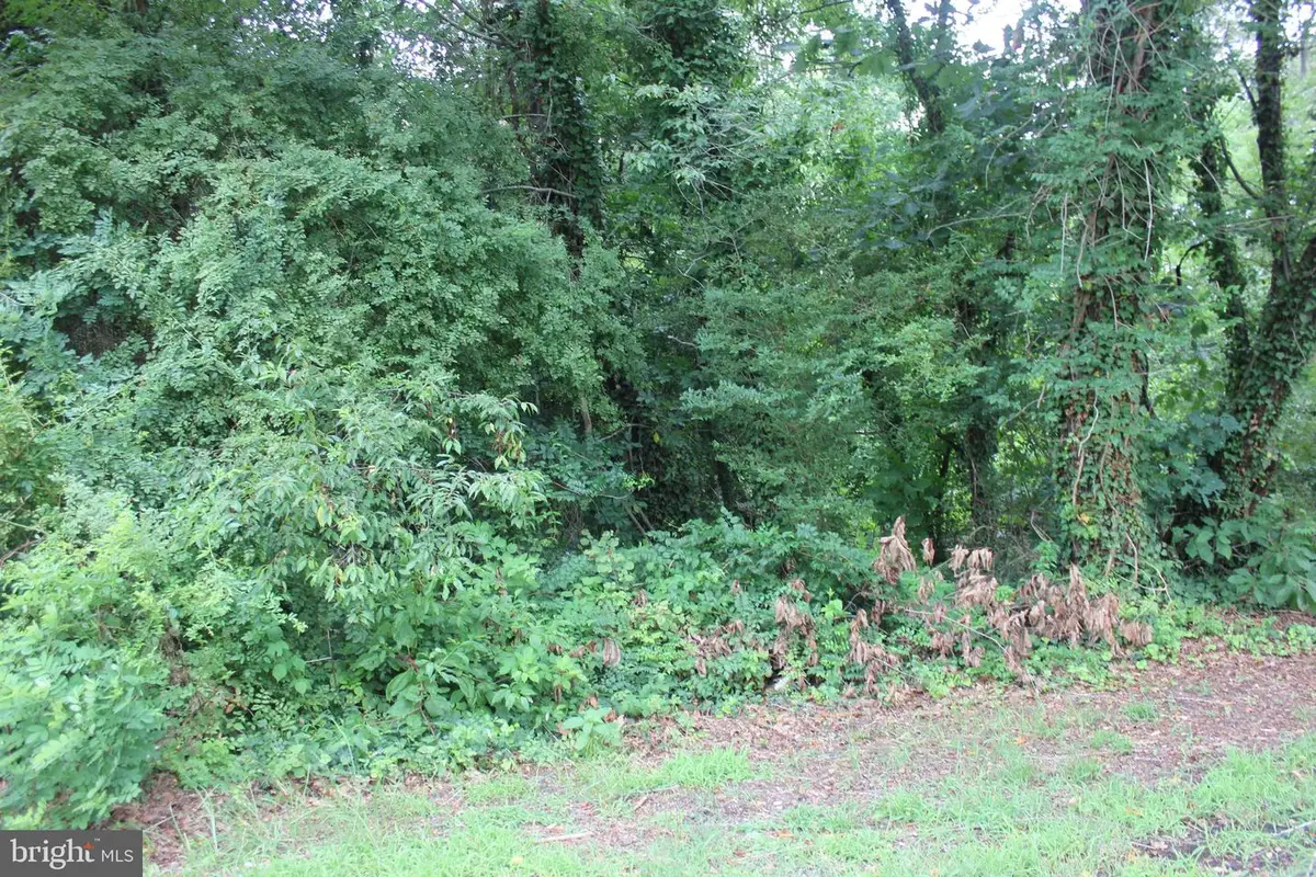 26457 Peninsular Dr, Hollywood, MD 20636 - #1