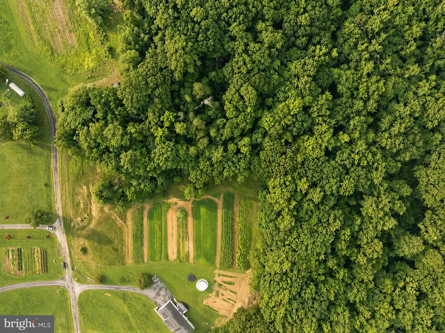 21365 Bogies Ln, Leonardtown, MD 20650 - #2