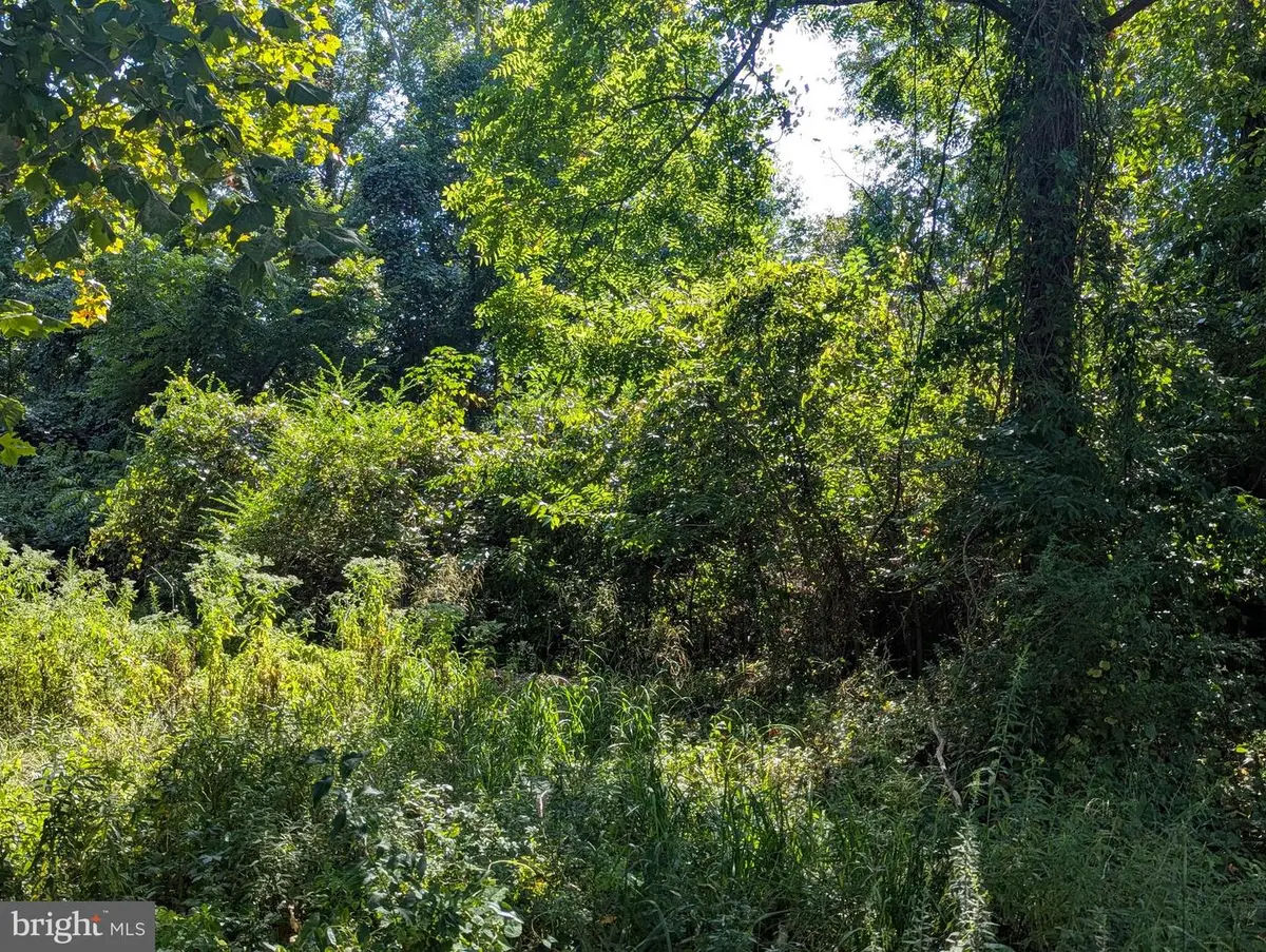 Oakley Dr, Bushwood, MD 20618 - #1