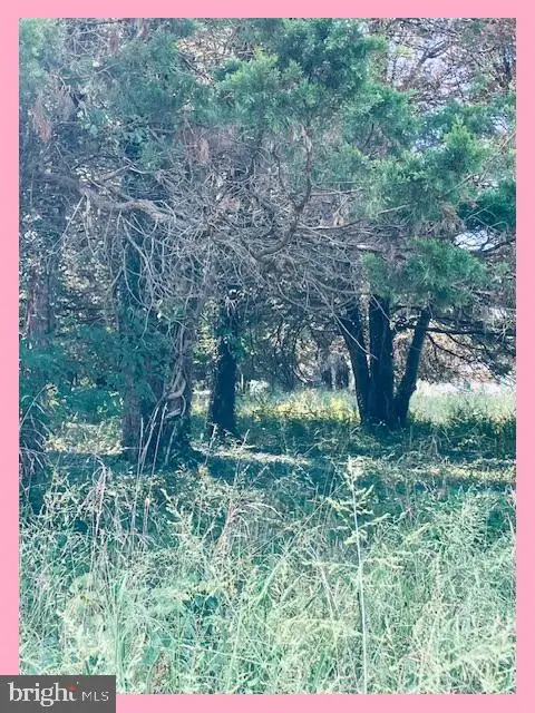 Lot 7 Owens Dr, BUSHWOOD, MD 20618