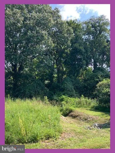 Overland Dr, BUSHWOOD, MD 20618