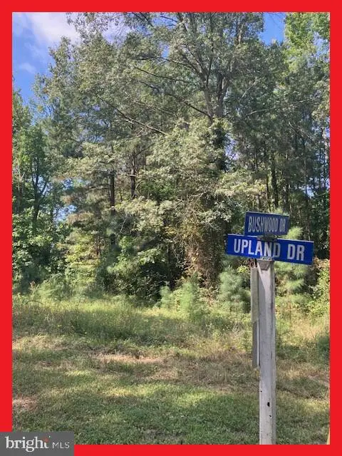 Lot 18 Woodbush Dr, BUSHWOOD, MD 20618