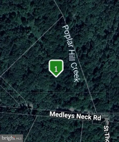 43488 Medleys Neck Rd, Leonardtown, MD 20650 - #3