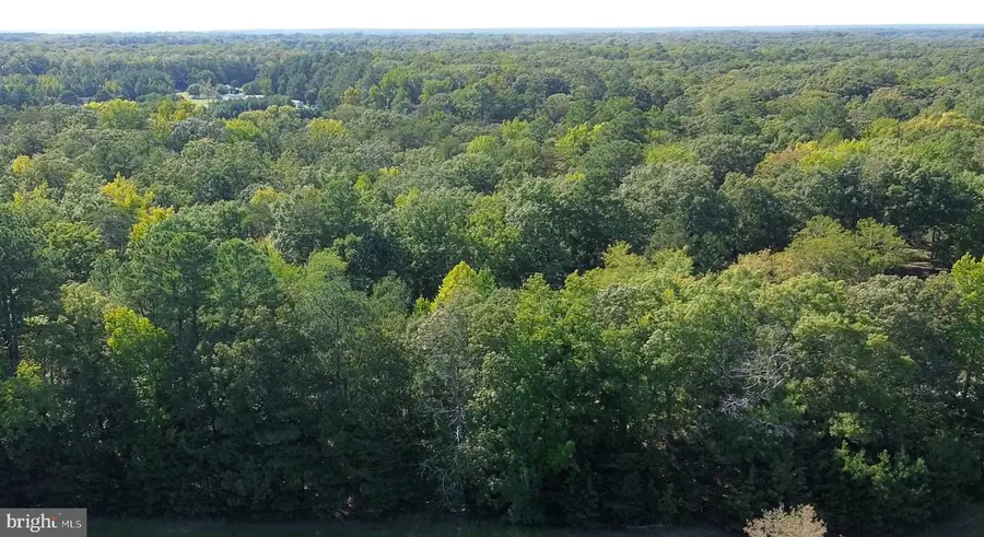 43146 N Megan Ln, Leonardtown, MD 20650 - #2