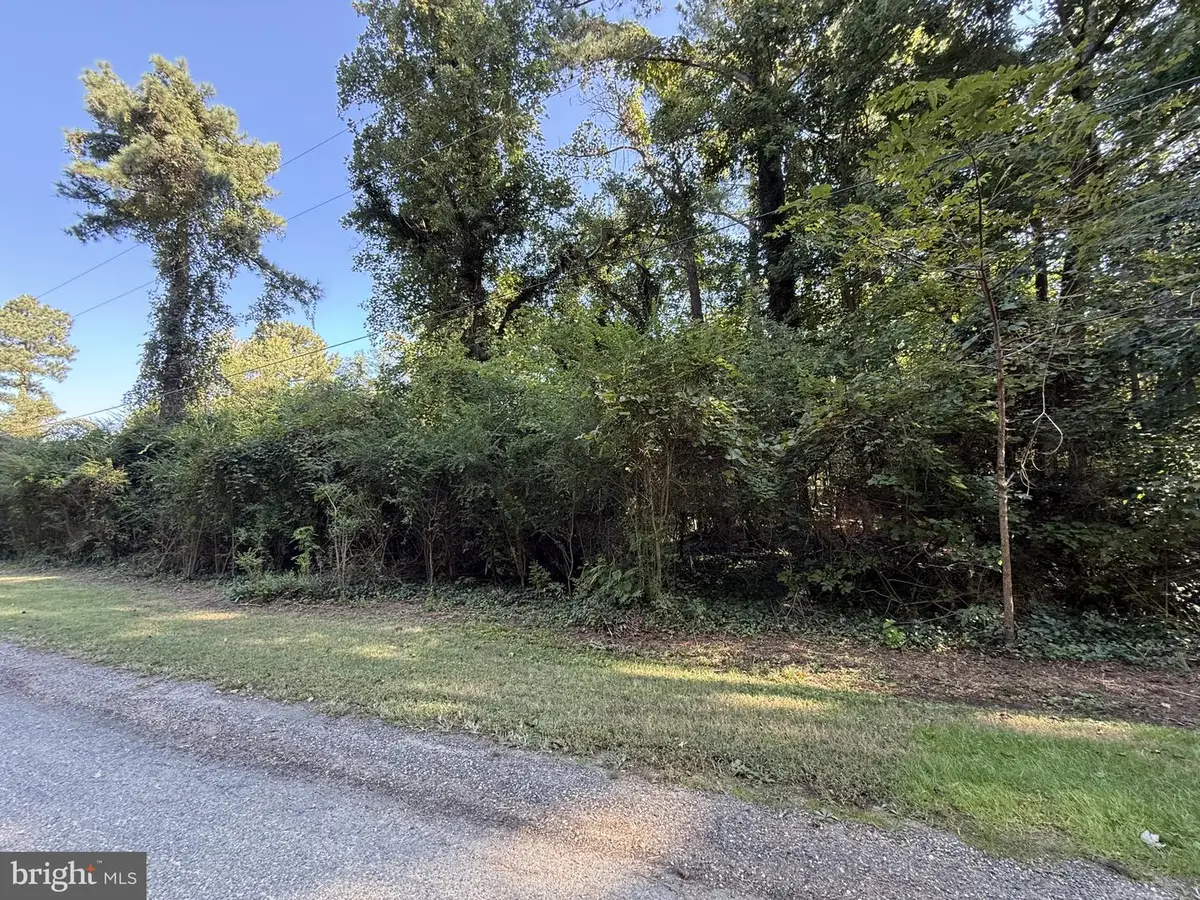 Lake Drive Leonardtown, Valley Lee, MD 20692 - #1