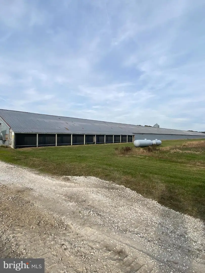 27130 Cash Corner Rd, Crisfield, MD 21817 - Image #2