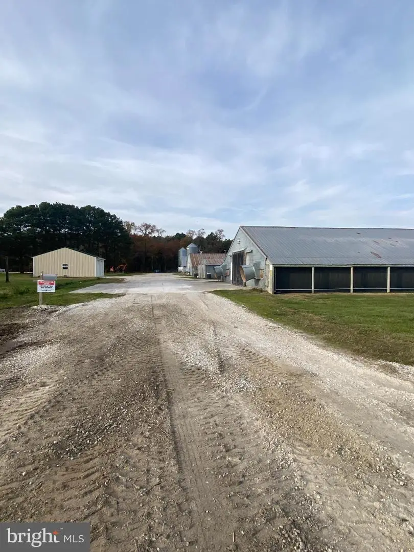 27130 Cash Corner Rd, Crisfield, MD 21817 - Image #3