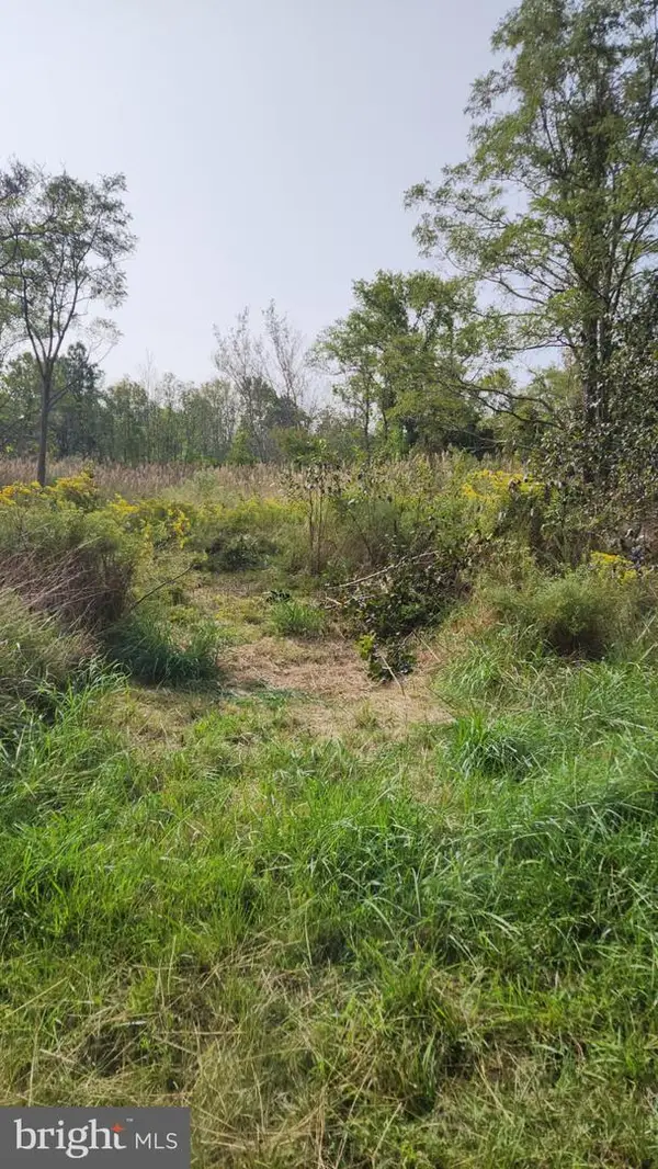 0 Riley Roberts Road, DEAL ISLAND, MD 21821