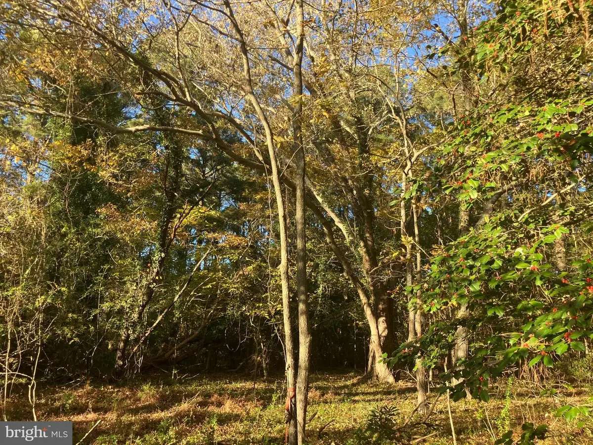 81 Davis Rd, Marion Station, MD 21838 - Image #1