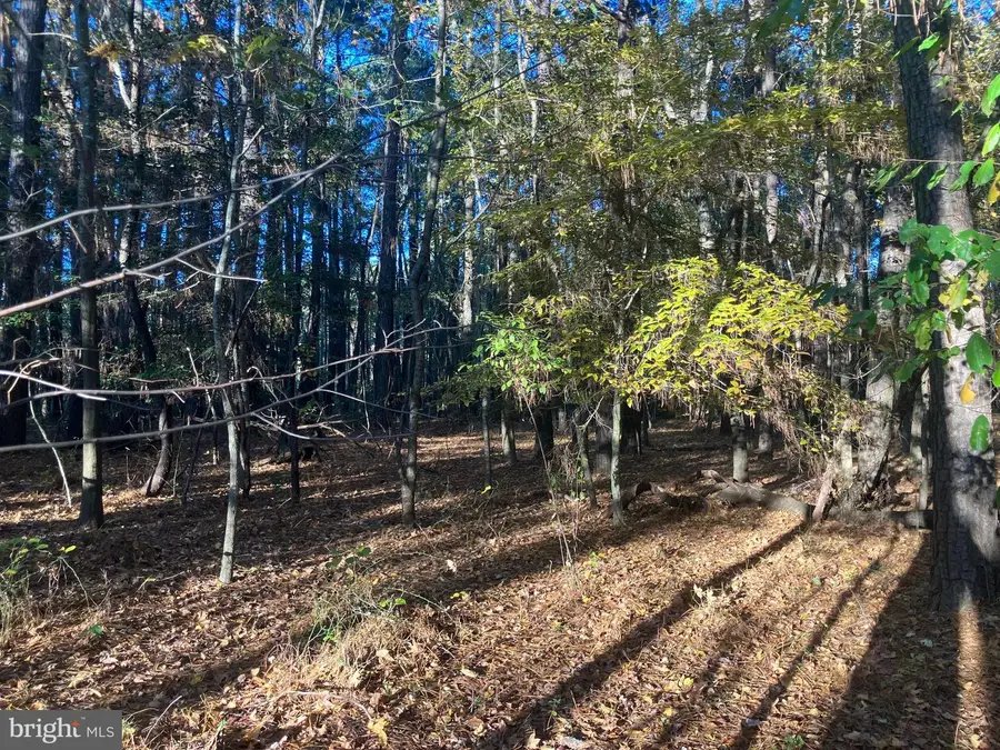 81 Davis Rd, Marion Station, MD 21838 - Image #2