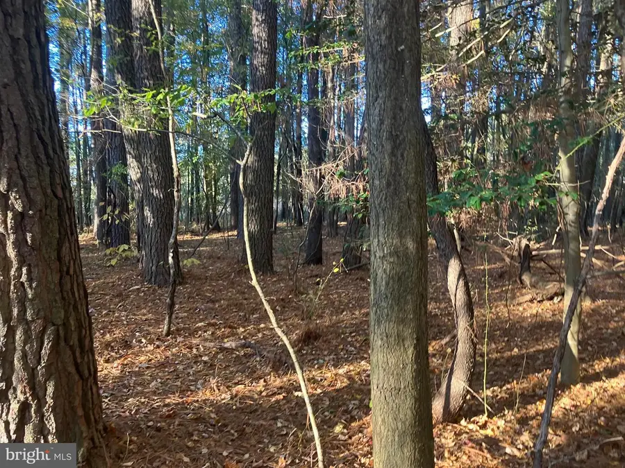 81 Davis Rd, Marion Station, MD 21838 - Image #3