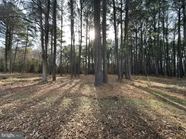 0 Keen Rd, DEAL ISLAND, MD 21821