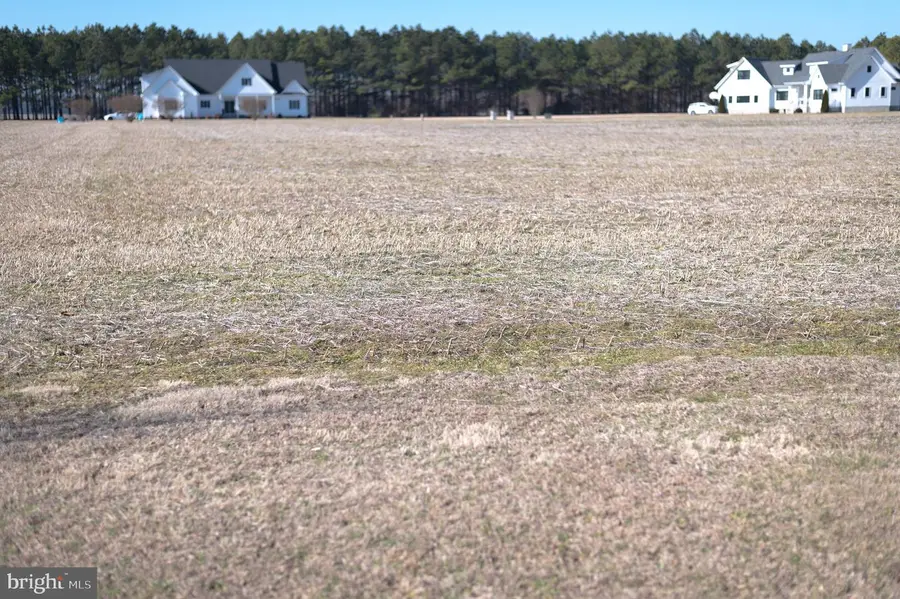 30083 Arbor Acre Dr, Princess Anne, MD 21853 - #3