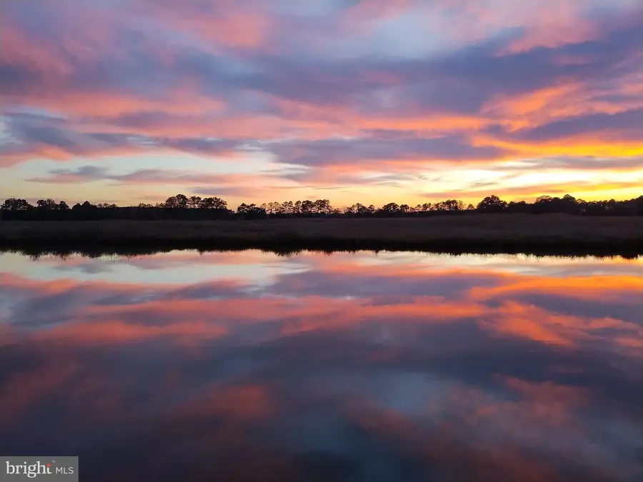 9554 Millard Long Rd, Westover, MD 21871 - #2