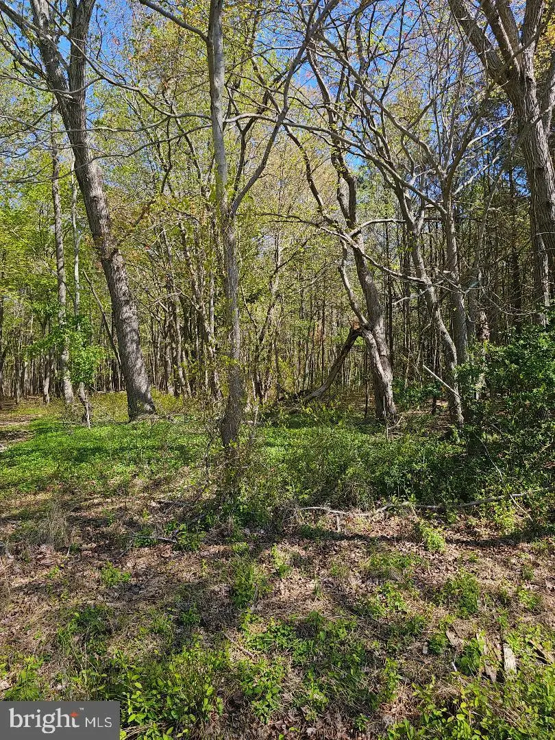 5071 Wayman Rd, Marion Station, MD 21838 - #2