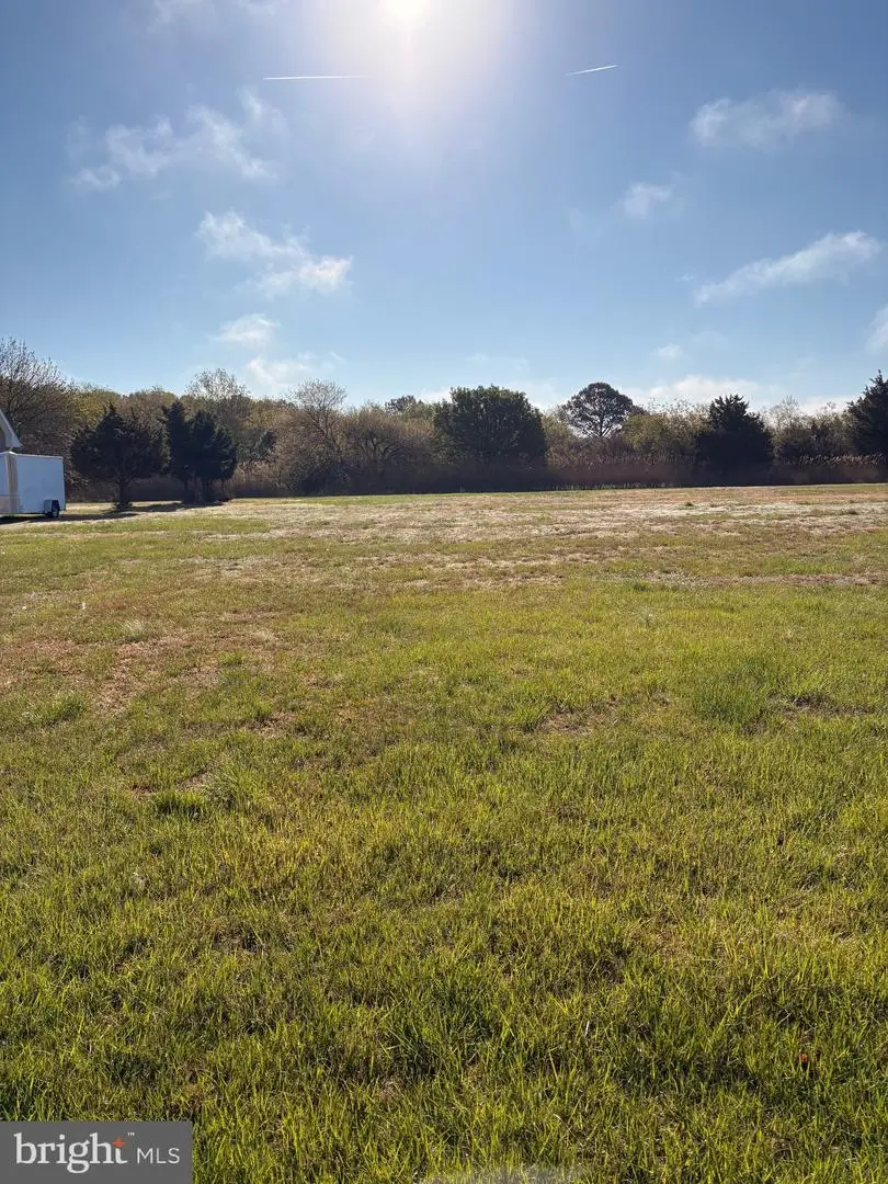 18 Hammock Point, Crisfield, MD 21817 - #2