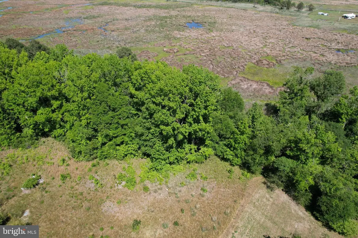 Parcel 228 Fishhook Ln, Deal Island, MD 21821 - #1