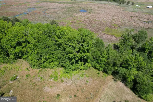 Parcel 228 Fishhook Ln, DEAL ISLAND, MD 21821