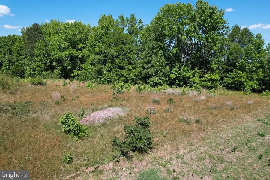 Parcel 228 Fishhook Ln, Deal Island, MD 21821 - #2