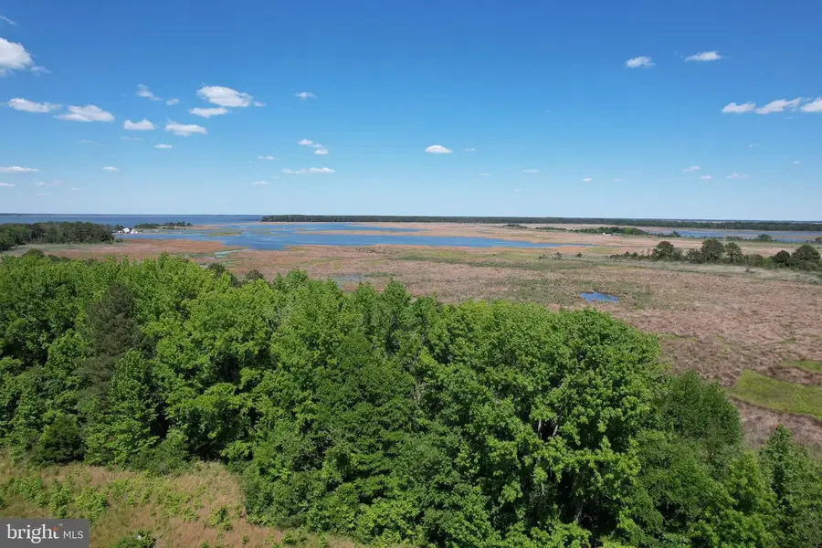 Parcel 228 Fishhook Ln, Deal Island, MD 21821 - #3