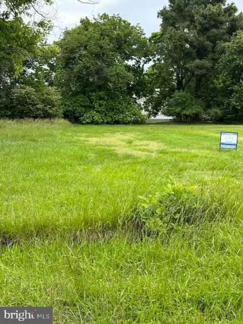 Parcel 210 Melvin White Rd, DEAL ISLAND, MD 21821