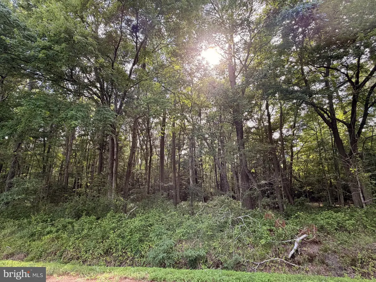 0 Bivens Rd, Marion Station, MD 21838 - #1