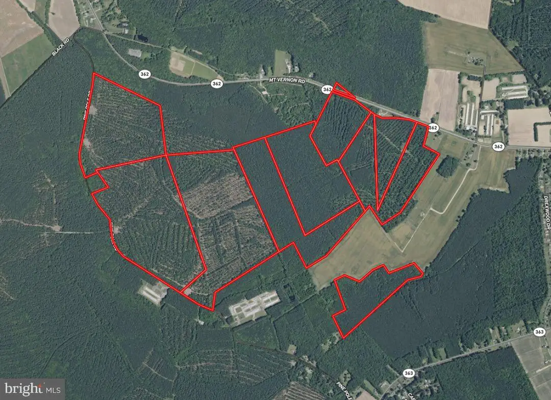 Pine Pole Road, Princess Anne, MD 21853 - #1