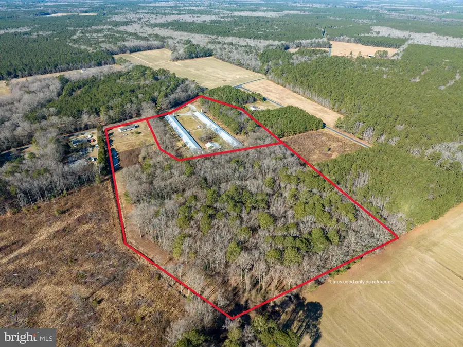 11245 Perryhawkin Church Rd, Princess Anne, MD 21853 - #3