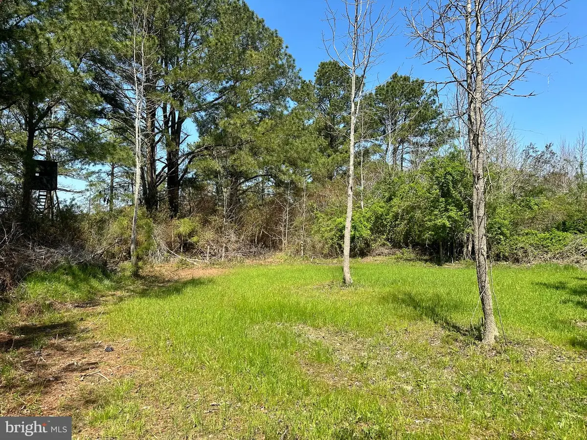 0 Bryan Hall Rd, Marion Station, MD 21838 - #1