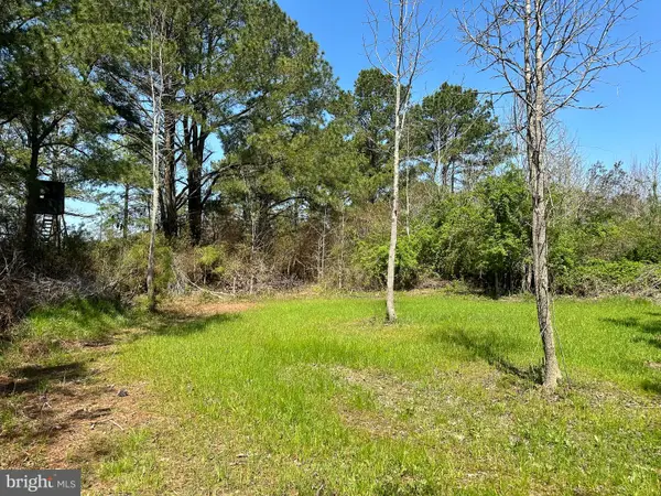 0 Bryan Hall Rd, MARION STATION, MD 21838