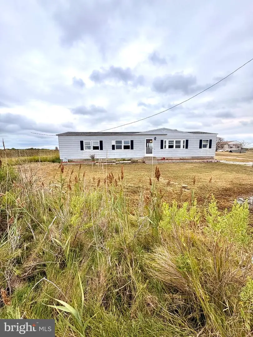 2925 Tylerton Rd, Tylerton, MD 21866 - #1