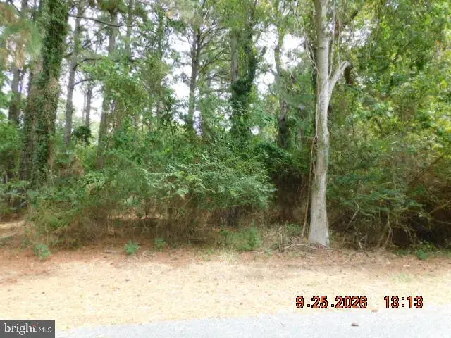 100 Roland Parks Rd, Chance, MD 21821 - #1