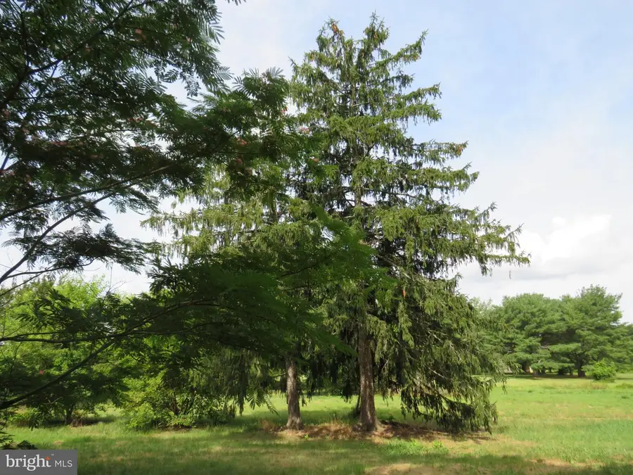 30004 Lovers Ln, 3 Brinkleys, MD 21838 - #3