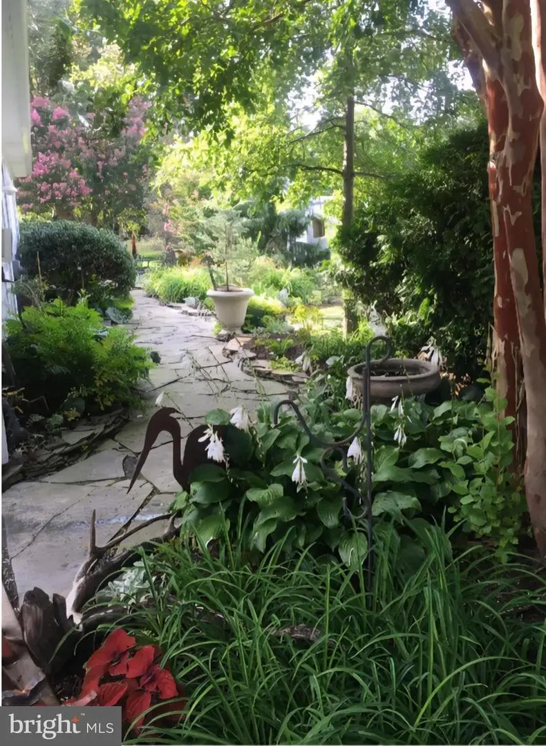 25706 Edgeview Rd, Royal Oak, MD 21662 - Image #3