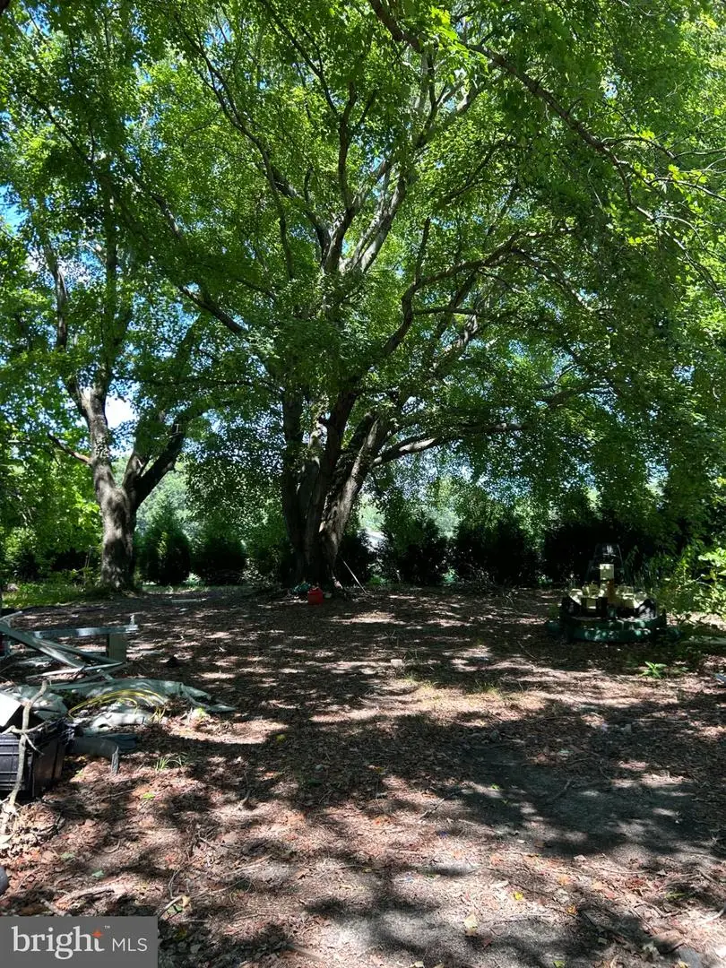 11377 Kittys Corner Rd, Cordova, MD 21625 - #3