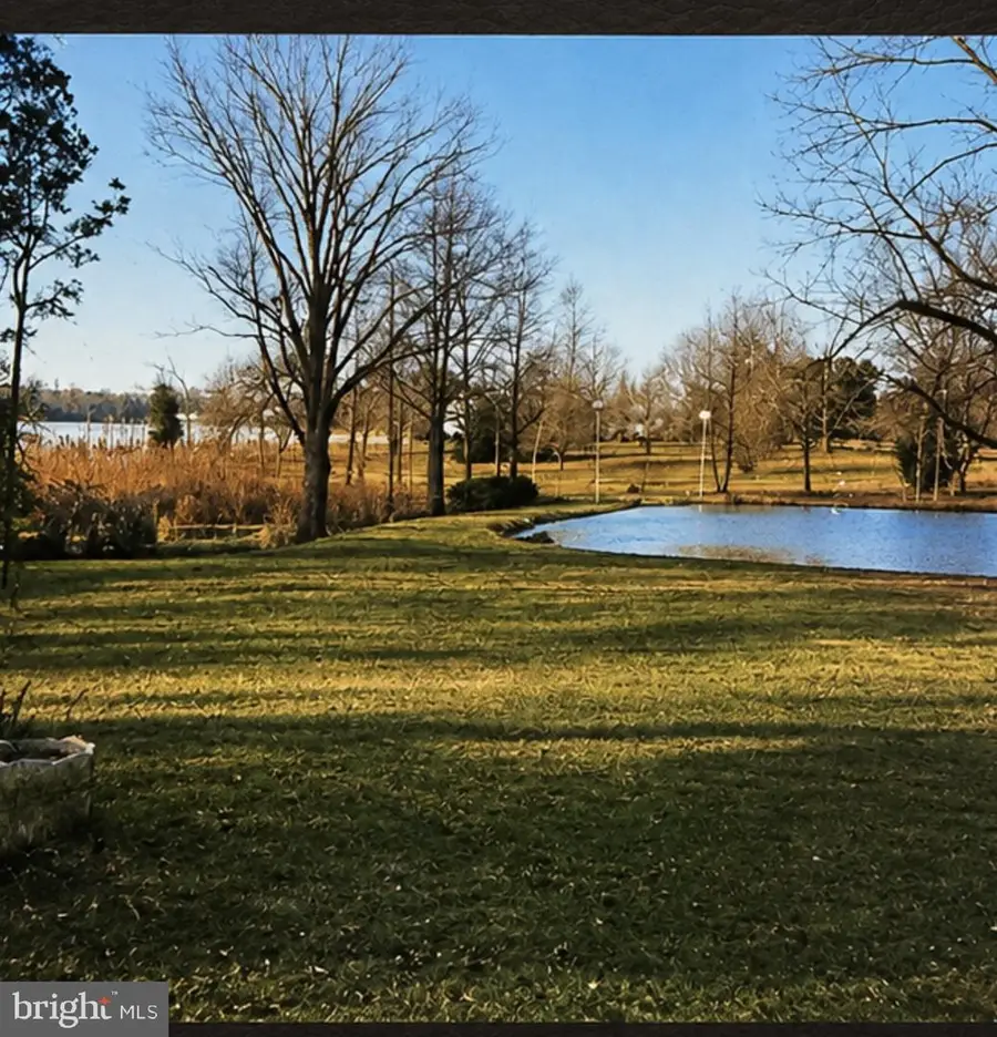 28221 Widgeon Ter, Easton, MD 21601 - #2