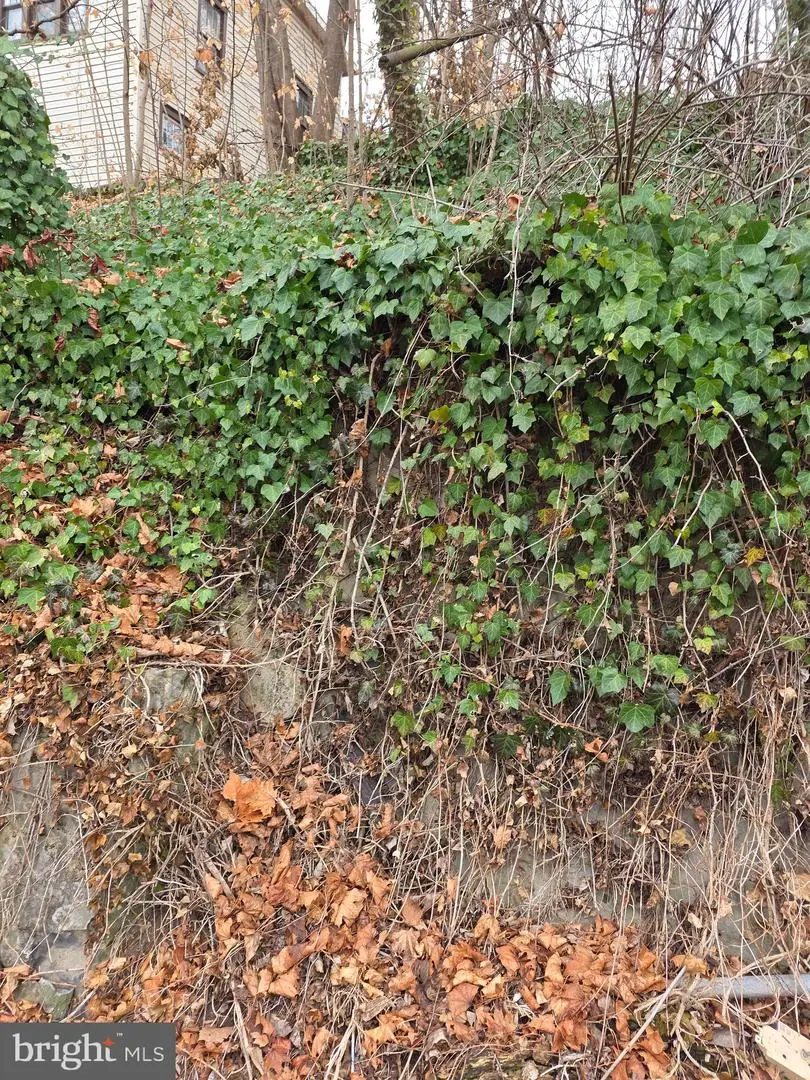 Rockdale Rd, Clear Spring, MD 21722 - Image #3