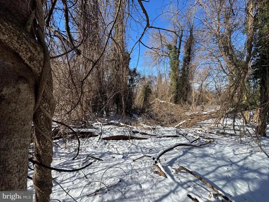 Tract 2: 0.42+/- Acres Oak Ave, Cascade, MD 21719 - Image #3