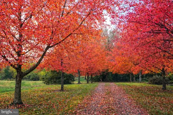 120 Old National Pike, HAGERSTOWN, MD 21740