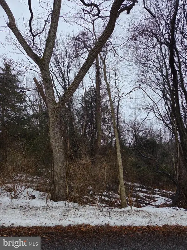 Mountain Laurel Rd, BOONSBORO, MD 21713