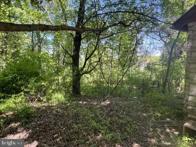 21410 Swope Rd, Boonsboro, MD 21713 - #3